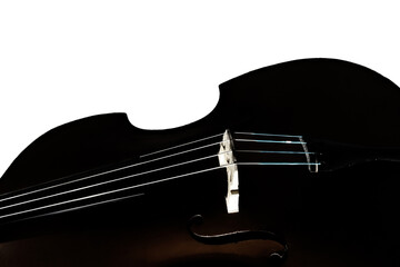Double bass. Contrabass classical music instrument