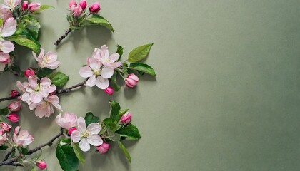 Naklejka na ściany i meble creative spring mockup branches with pink apple tree flowers on beige background main background of green color space for text and the ability to remove or replace a quote