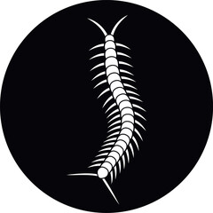 Scolopendra logo. Isolated scolopendra on white background