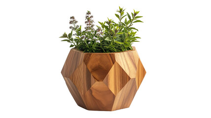 Geometric Wooden Planter with Succulents on Transparent Background