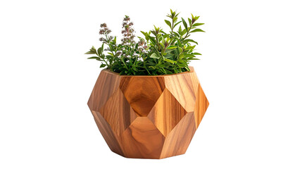Geometric Wooden Planter with Succulents on Transparent Background