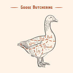 Cut of meat set. Poster Butcher diagram, scheme - Goose. Vintage typographic hand-drawn goose silhouette for butcher shop, restaurant menu, graphic design. Meat, poultry theme. Vector Illustration