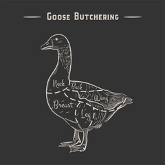 Fototapeta na wymiar Poster Butcher diagram, scheme - Goose. Vintage typographic hand-drawn goose silhouette for butcher shop, restaurant menu, graphic design. Meat, poultry theme. Vector Illustration,