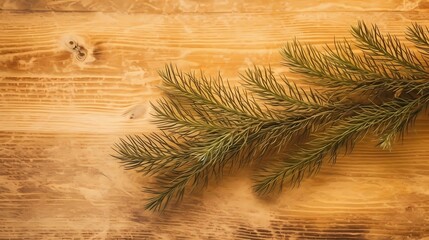 seamless background with coniferous branches pattern, coniferous, fir, 