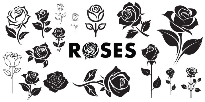 flower, drawing, rose, set, stencil, symbol, outline, monochrome, graphic, emblem, flora, element, bud, collection, botanical, engraving, decoration, blossom, rose - flower, cut out, elegance, leaf - Powered by Adobe