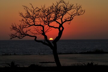 Perfect sunset