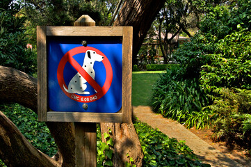 No dogs on premises or No sitting Dalmatian’s