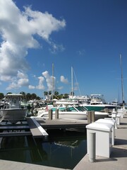 Fototapeta premium yachts in marina, yachts club, white boats