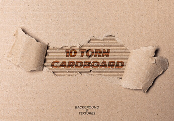 10 Torn Cardboard Paper Background Texture