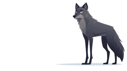 Fototapeta premium Black Wolf or Timber Wolf (Canis lupus) standing.