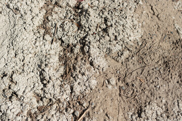 concrete with stone aggregate and dried soil