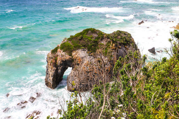 Horse Head rock, Bermagui, NSW, south coast, copy space