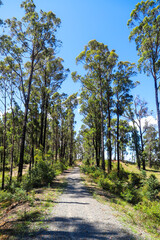 Rail Trail Gippsland, Lakes Entrance.