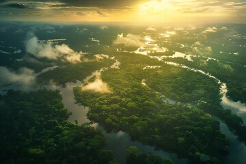 Fototapeta na wymiar Dramatic view of the amazon rainforest from above Capturing the lush greenery and dense canopy at dawn Highlighting the beauty and vulnerability of one of earth's vital ecosystems