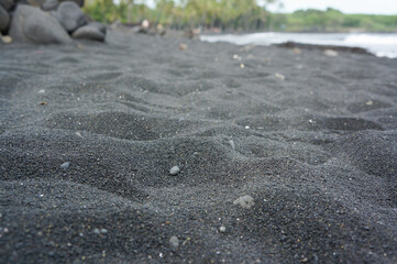 ブラックサンドビーチ