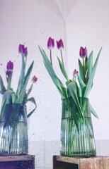 tulips in a vase near a mirror 
