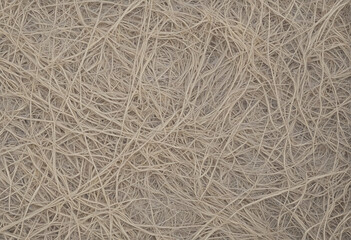 Close-up of brown hay texture in a rural field, illustrating the natural patterns of agriculture in a farm setting