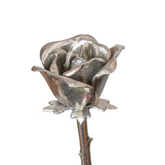 Fototapeta premium Isolated silver rose