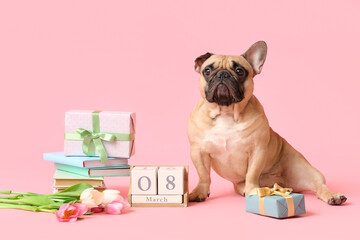 Cute French bulldog with tulips, books and gift on pink background. International Women's Day