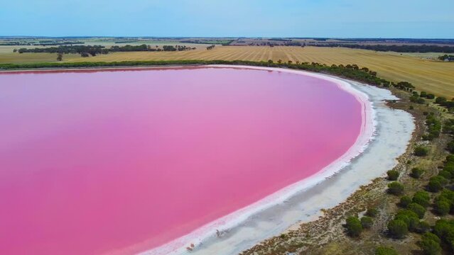 Footage Aerial view of Dimboola pink lake Nature Reserve of western Victoria, Australia,  the Pink Lake gets its vibrant colour from a salt tolerant alga living in the salt crust.