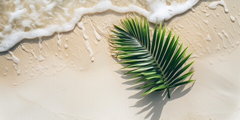 Top view tropical island sand beach with palm trees, Summer holiday vacation concept