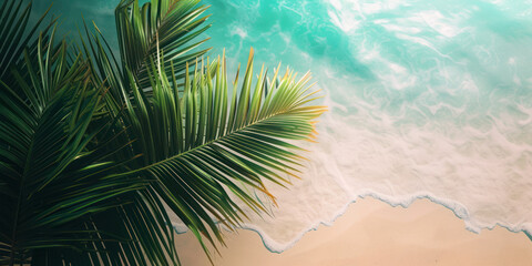 Top view tropical island sand beach with palm trees, Summer holiday vacation concept