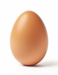 Brown egg isolated on white background