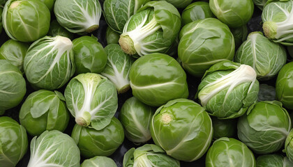 Brussele Sprouts Illustration on White Background
