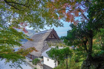 Fototapeta na wymiar 茅葺屋根の建物と色づき始めたモミジの紅葉のコラボ情景