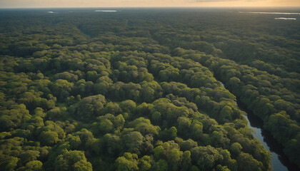Fototapeta na wymiar Beautiful Green Amazon Forest Landscape at Sunset Generative AI