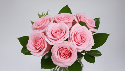 Blush Roses Arrangement