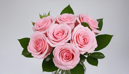 Fototapeta premium Blush Roses Arrangement