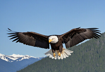 Obraz premium Majestic bird soaring in the sky