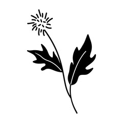 Dandelion, wildflower icon in hand-drawn style