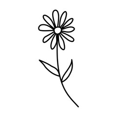 Daisy icon in hand-drawn style. Gerbera daisy