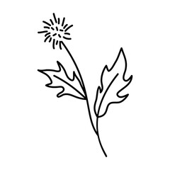 Dandelion, wildflower icon in hand-drawn style
