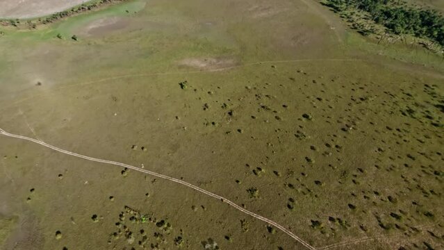 Overhead view of  Paragua forest in Bolivar State. Venezuela