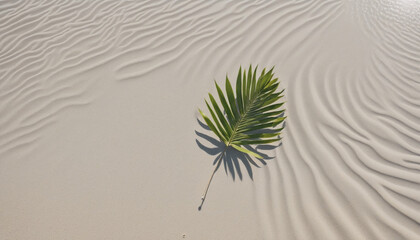 Tropical Beach Background with Palm Leaf Shadows, Sun Reflections on Water. Beautiful Abstract...