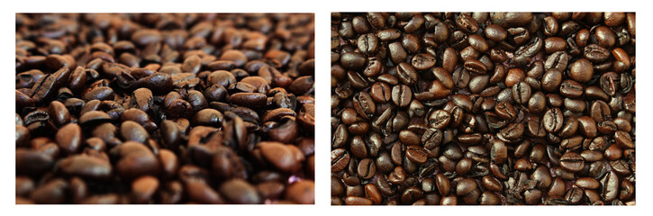 Coffee beans on a white background