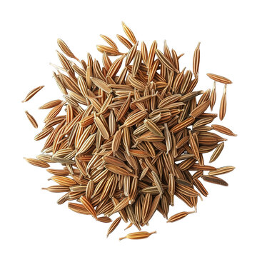Cumin Isolated