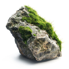 green moss on white background, cut out 