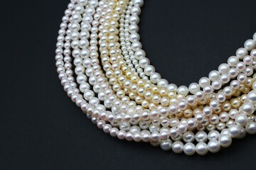 Expensive and luxurious Japanese saltwater Akoya pearls on strands of white, pink and golden organic gems ready to be made into necklaces and sold in jewelry store.