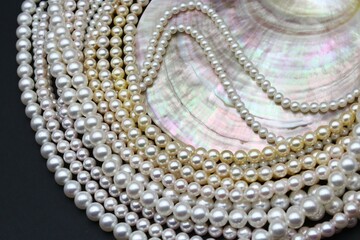 Expensive and luxurious Japanese saltwater Akoya pearls on strands of white, pink and golden...
