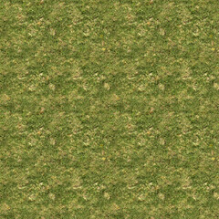 4K green grass photorealistic tiling texture.