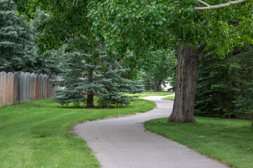 Empty urban scene of a paved curving pathway with green grass, trees, a wooden fence and no people.