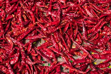 Closeup dried chili at the farm