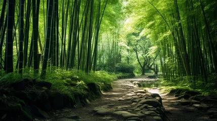 Foto op Canvas A lush bamboo grove in a quiet forest © Cloudyew