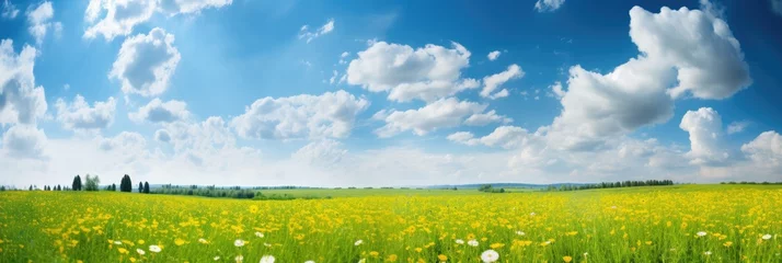 Papier Peint photo Prairie, marais Beautiful meadow field with fresh grass and yellow dandelion flowers in nature against a blurry blue sky with clouds