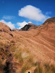 landscape in the desert