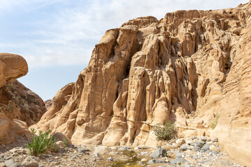 The beauty of nature at the beginning of the tourist route of the gorge Wadi Al Ghuwayr or An Nakhil and the wadi Al Dathneh near Amman in Jordan